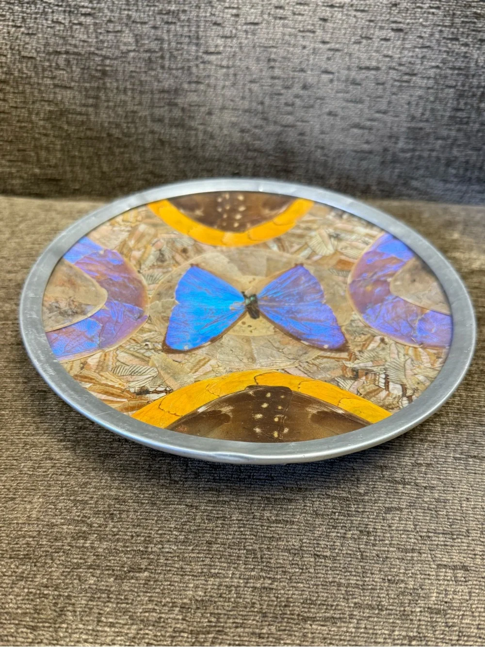 Vintage Brazilian Morpho Iridescent Blue Butterfly Wing and Feather Wall Art.